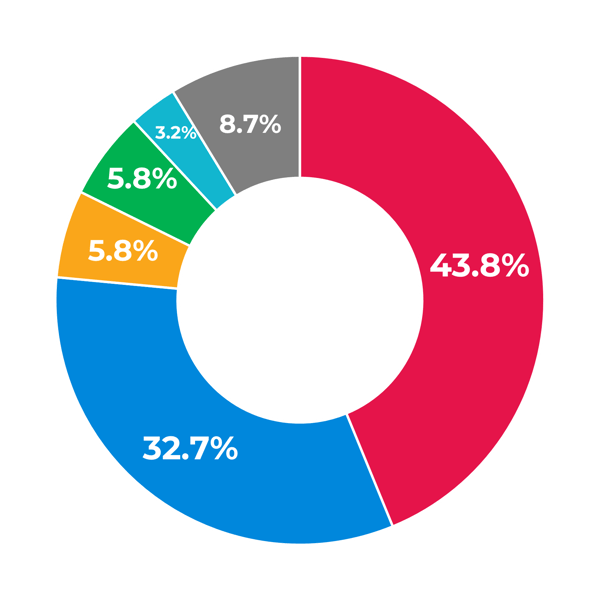 Mayoral election results pie chart.v2